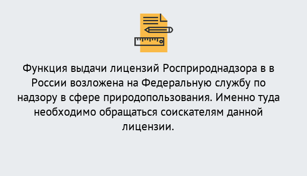 Почему нужно обратиться к нам? Снежинск Лицензия Росприроднадзора. Под ключ! в Снежинск