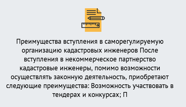 Почему нужно обратиться к нам? Снежинск Что дает допуск СРО кадастровых инженеров?