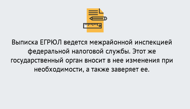 Почему нужно обратиться к нам? Снежинск Выписка ЕГРЮЛ в Снежинск ?