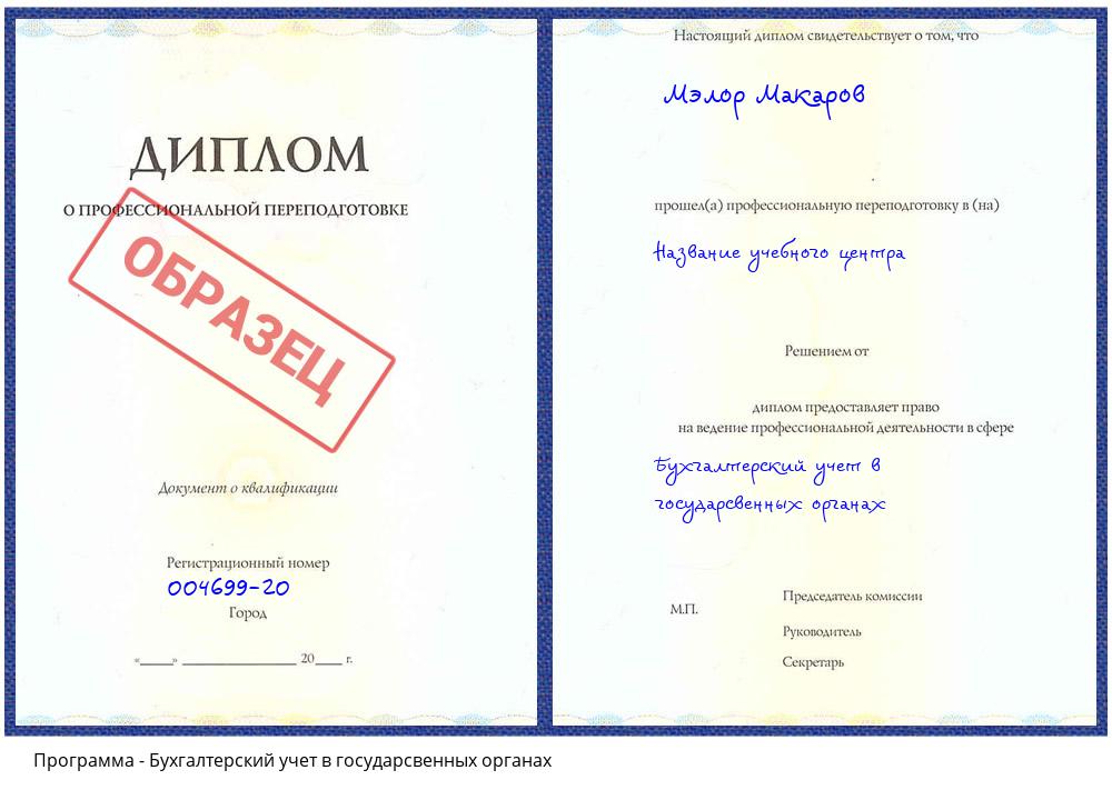 Бухгалтерский учет в государсвенных органах Снежинск