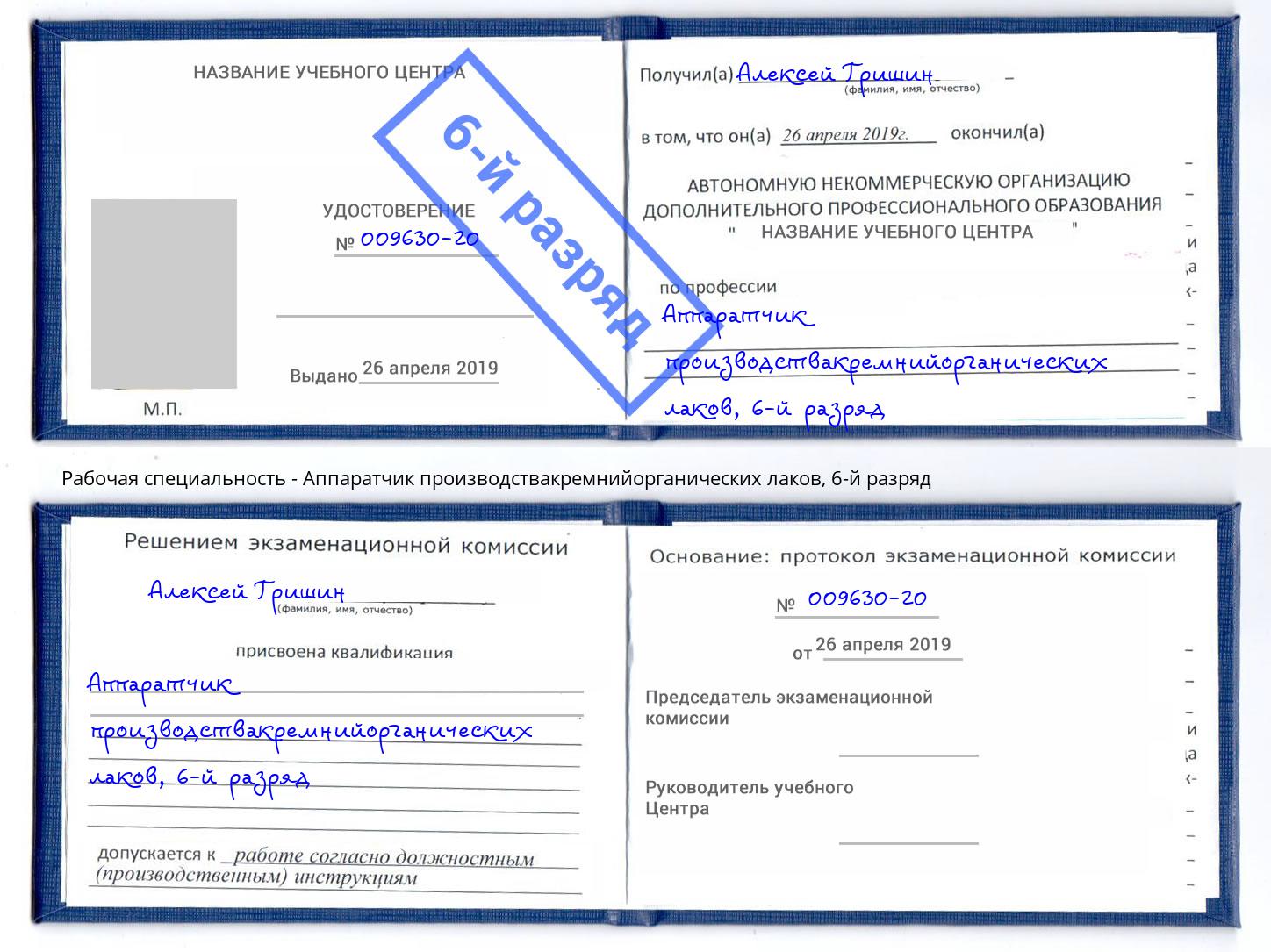 корочка 6-й разряд Аппаратчик производствакремнийорганических лаков Снежинск